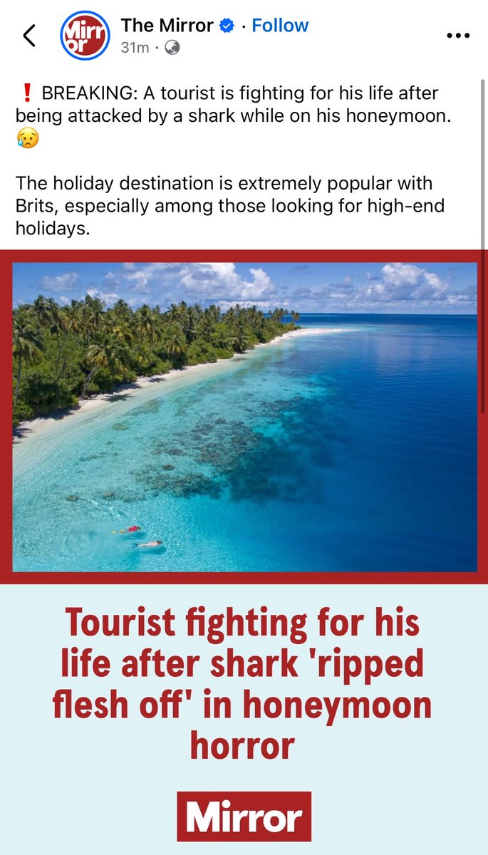 A Spanish guest loses a leg while swimming around GA. Kooddoo fish processing island. 

Although this sounds like a freak accident around a heavy shark aggregating zone, baited shark tourism as a whole needs to be regulated!  

People just hide incidents but it happens.