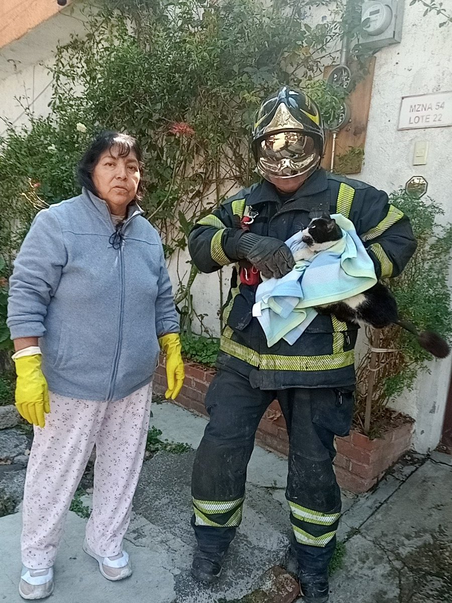 Bomberos Ciudad de México Oficial tweet media