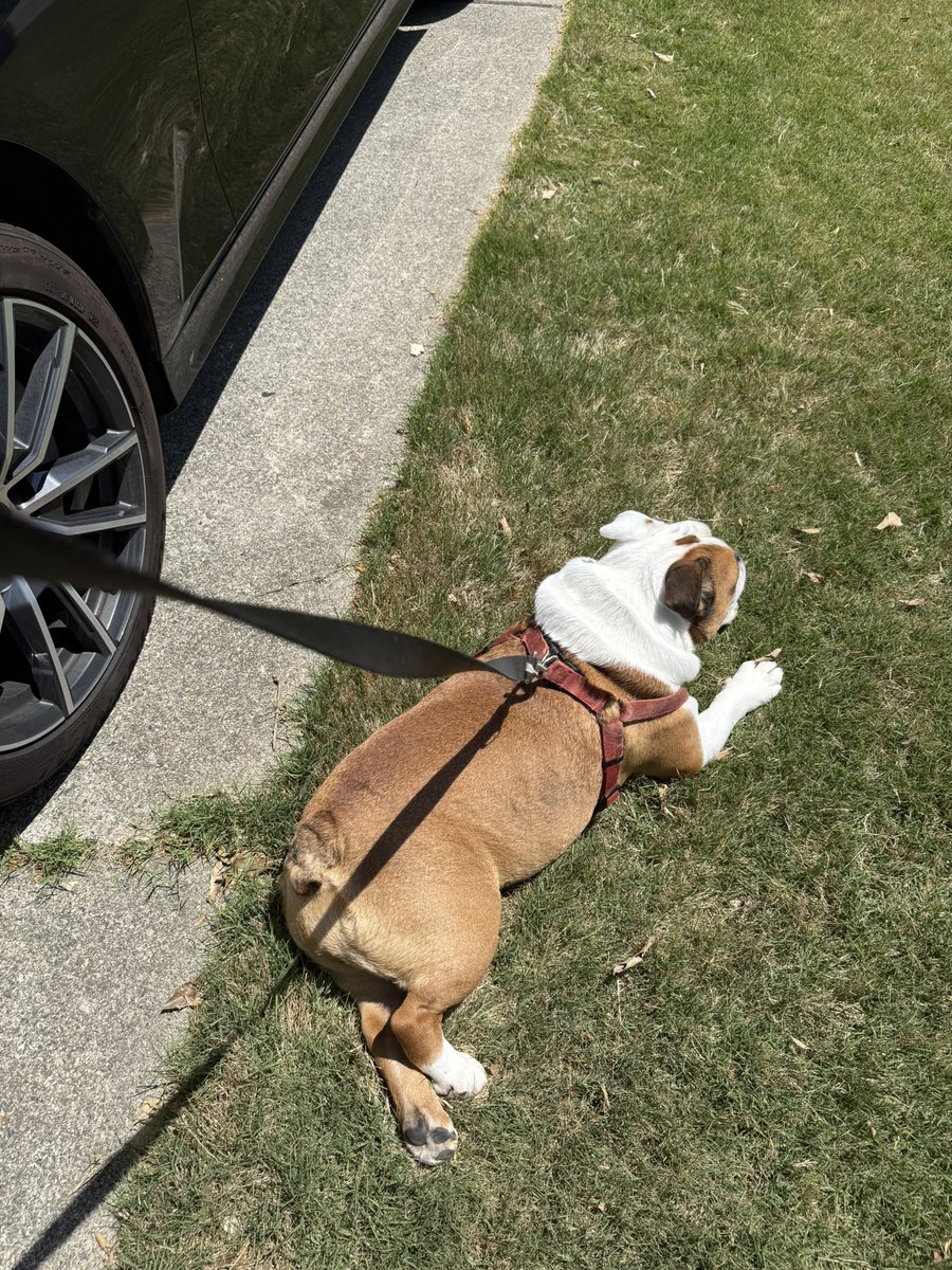 Jim Moore ☦ 🇺🇸 tweet media