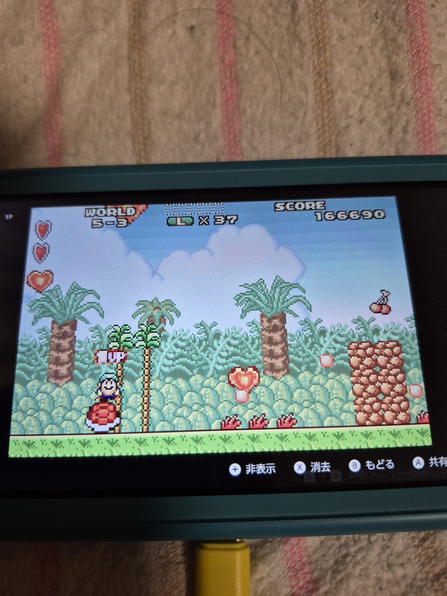 ふみや tweet media