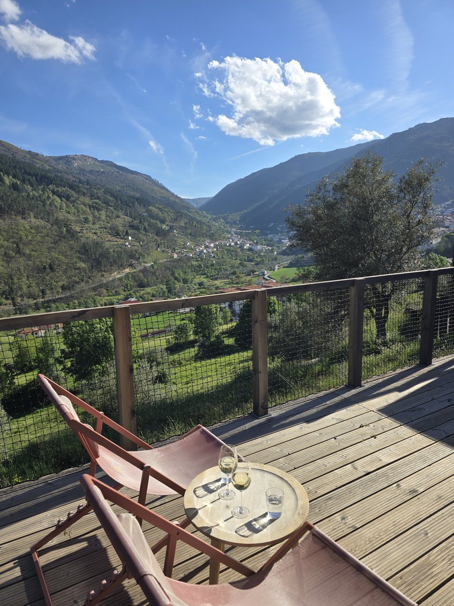 Tamara Rood tweet media