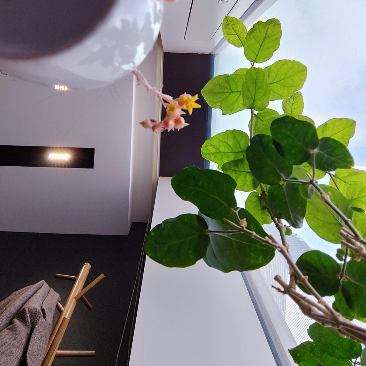 Thierno Birahim SECK tweet media