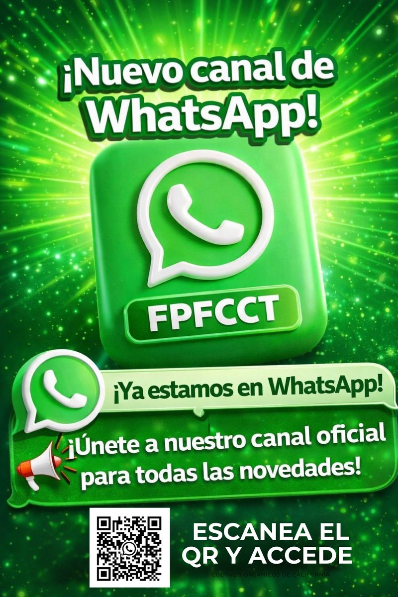 Federación de Peñas FC Cartagena tweet media