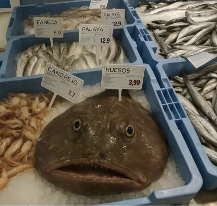 Хлебушек II tweet media