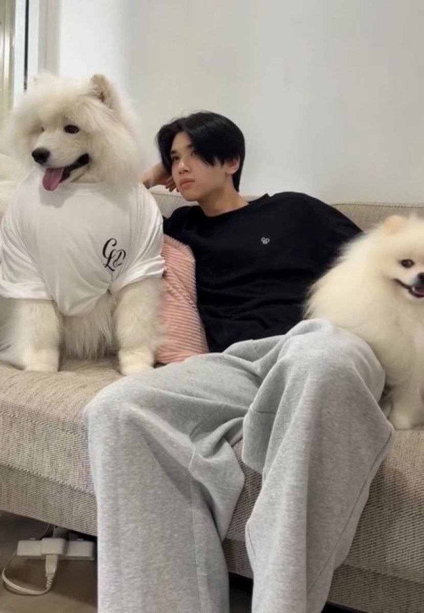 uyenഒﾟ⌗htsmcᵎᵎ tweet media