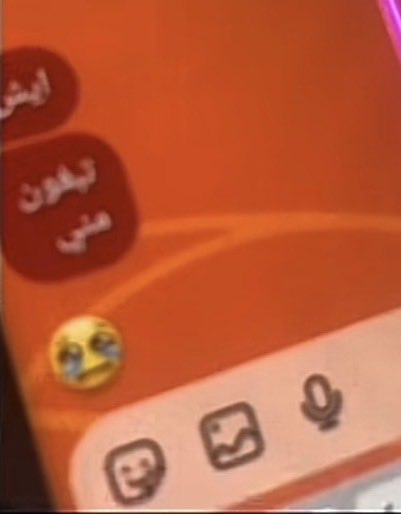 PillowFightChampion tweet media