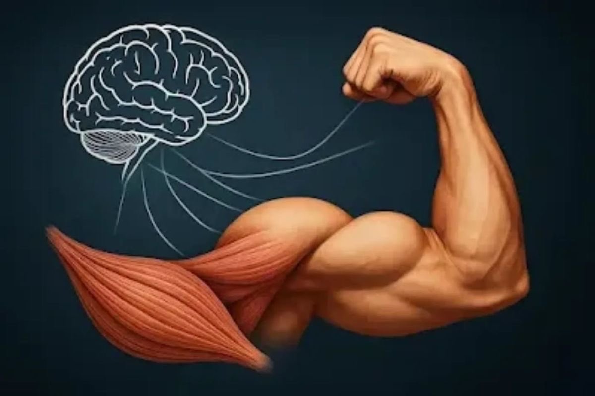 RanLogic tweet media