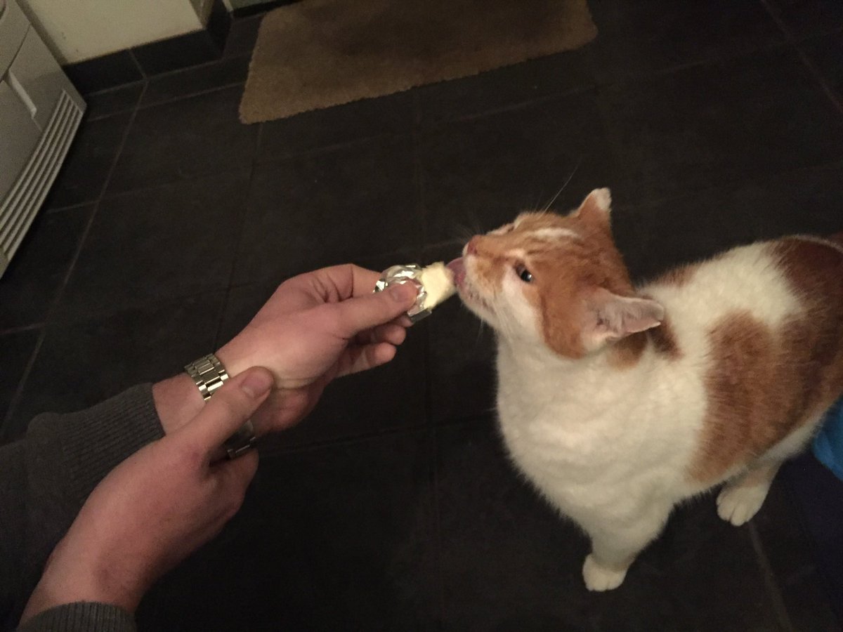 Princess Morgan and Lady Evie tweet media