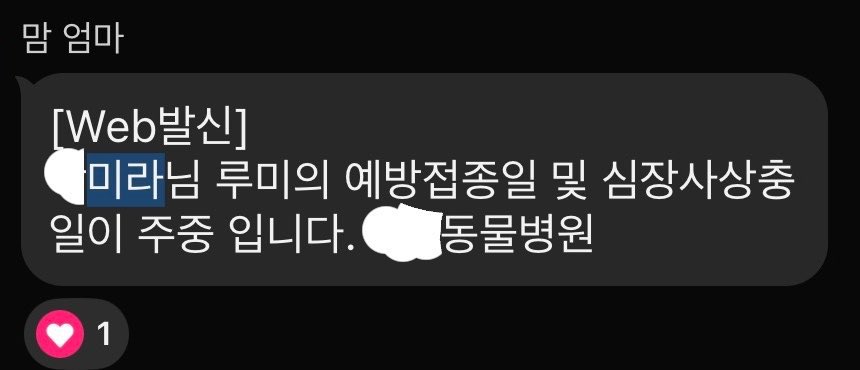 주먹밥오 (여su김je조부튜바키) 🕯️🍉 tweet media