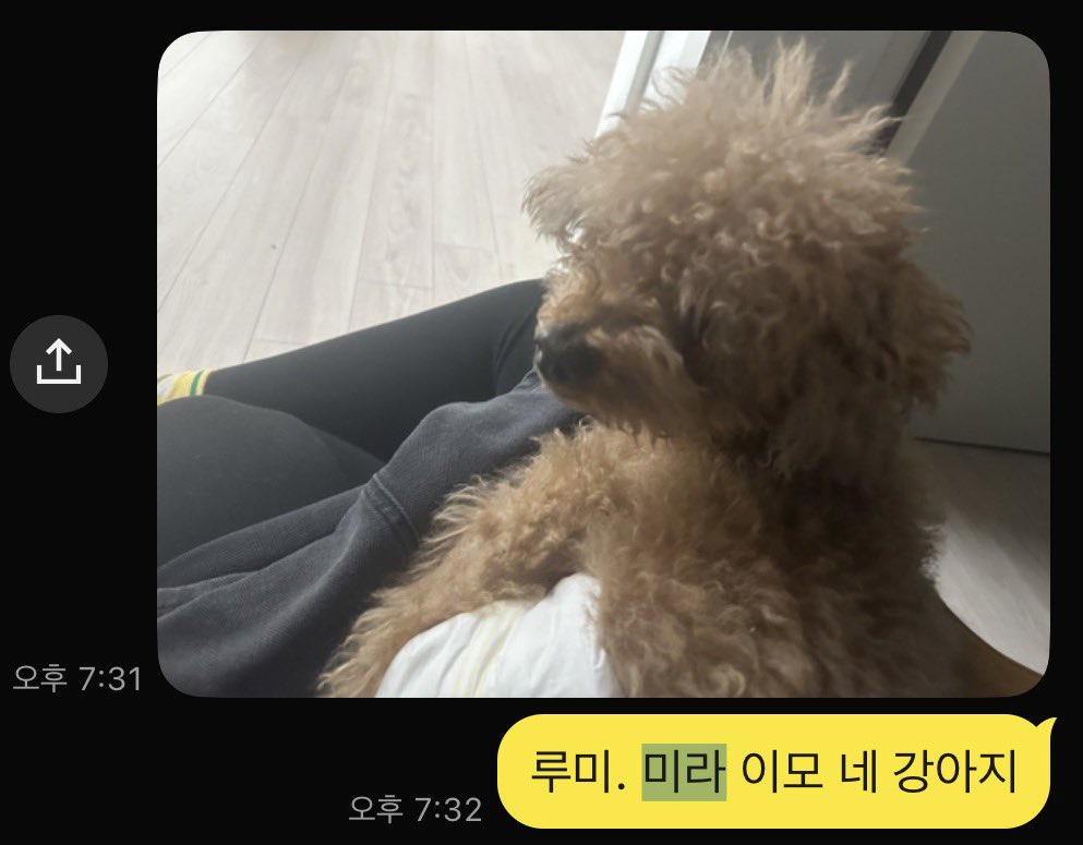 주먹밥오 (여su김je조부튜바키) 🕯️🍉 tweet media