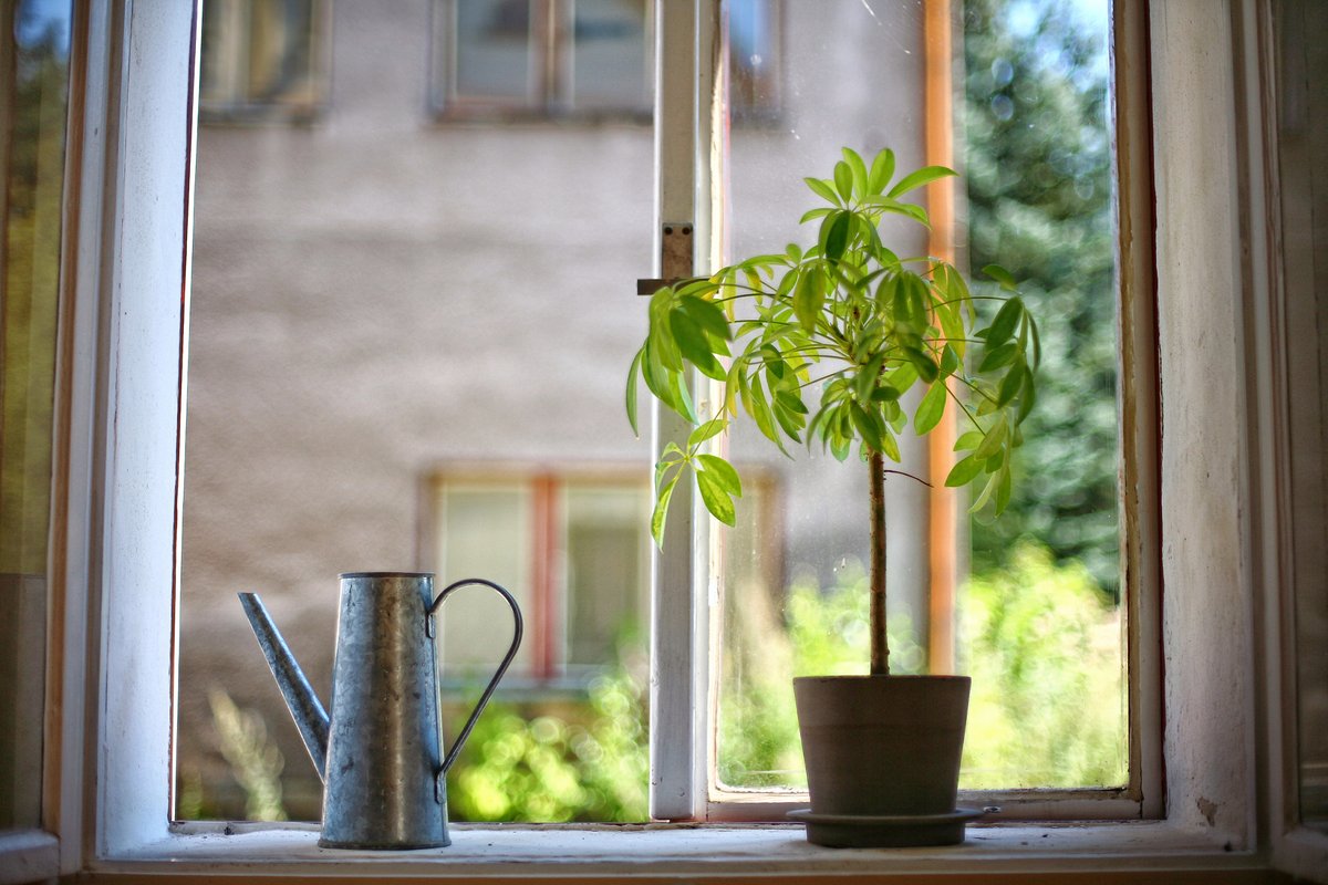 amira razak tweet media