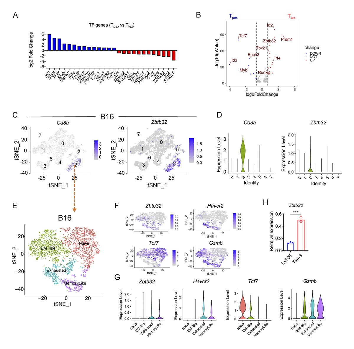 JExpMed's tweet image. Zbtb32 promotes CD8⁺ T cell differentiation and function in #cancer. From Birui Pan (@Tsinghua_Uni), Chen Dong (Westlake University) and colleagues: hubs.la/Q04bBxTR0 

📘 Part of JEM #Immunology collection 👉 hubs.la/Q04bBBWG0

#AAI2026
