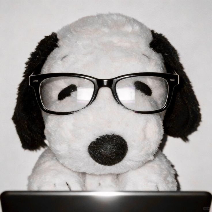 Daily Snoopy tweet media