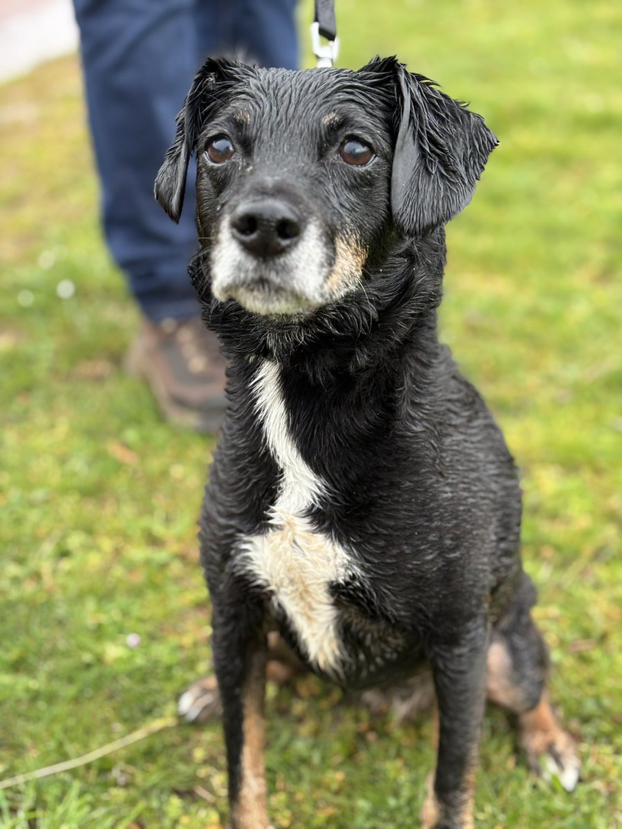 🌈Mario BT’s M tweet media