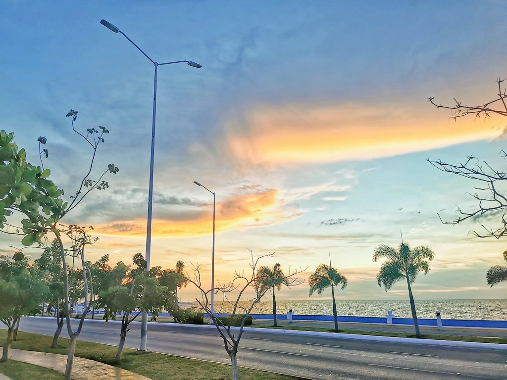 BerthaParedesMedina tweet media