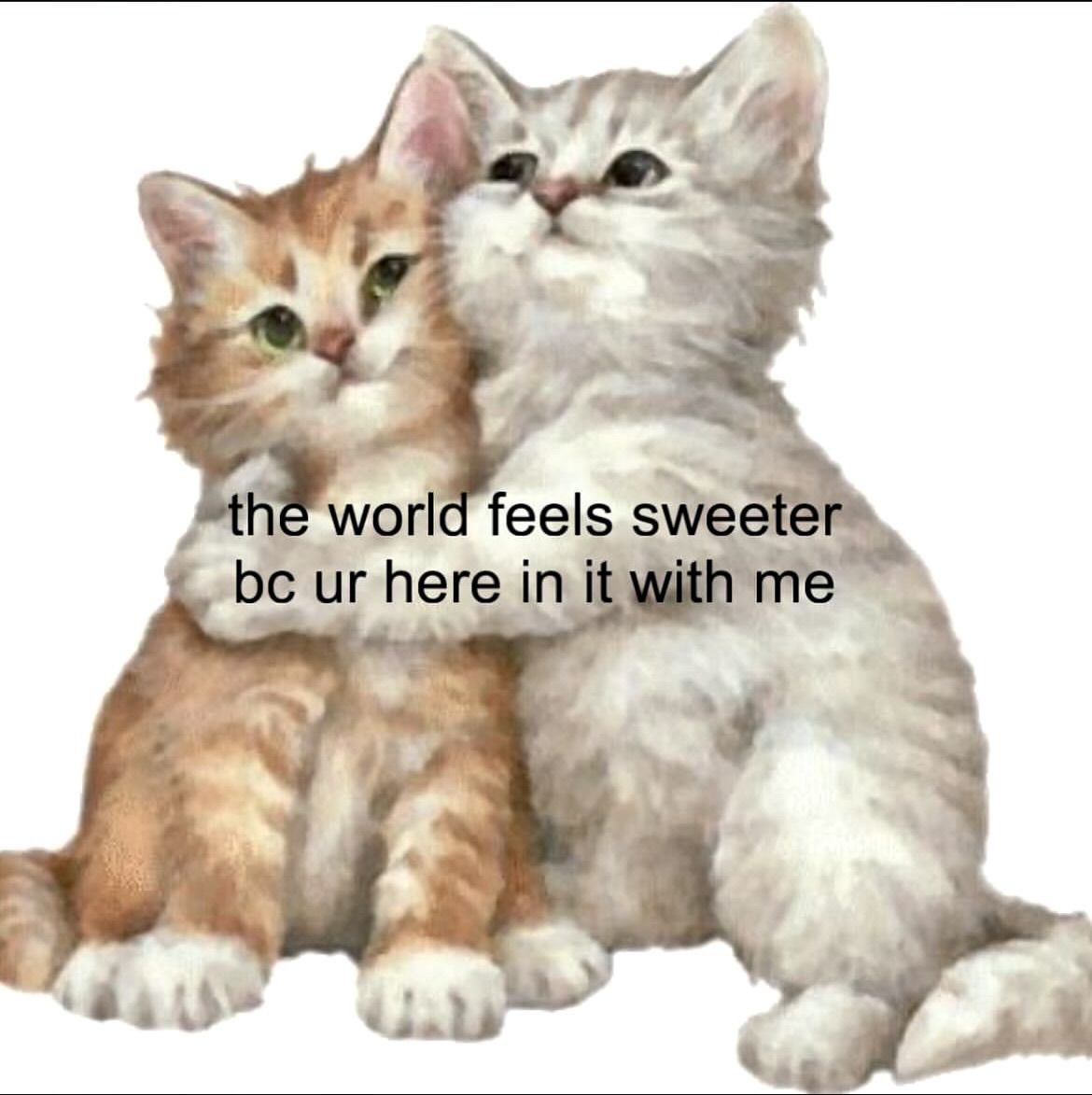 Me & Who? (@tagyourwho) on Twitter photo 