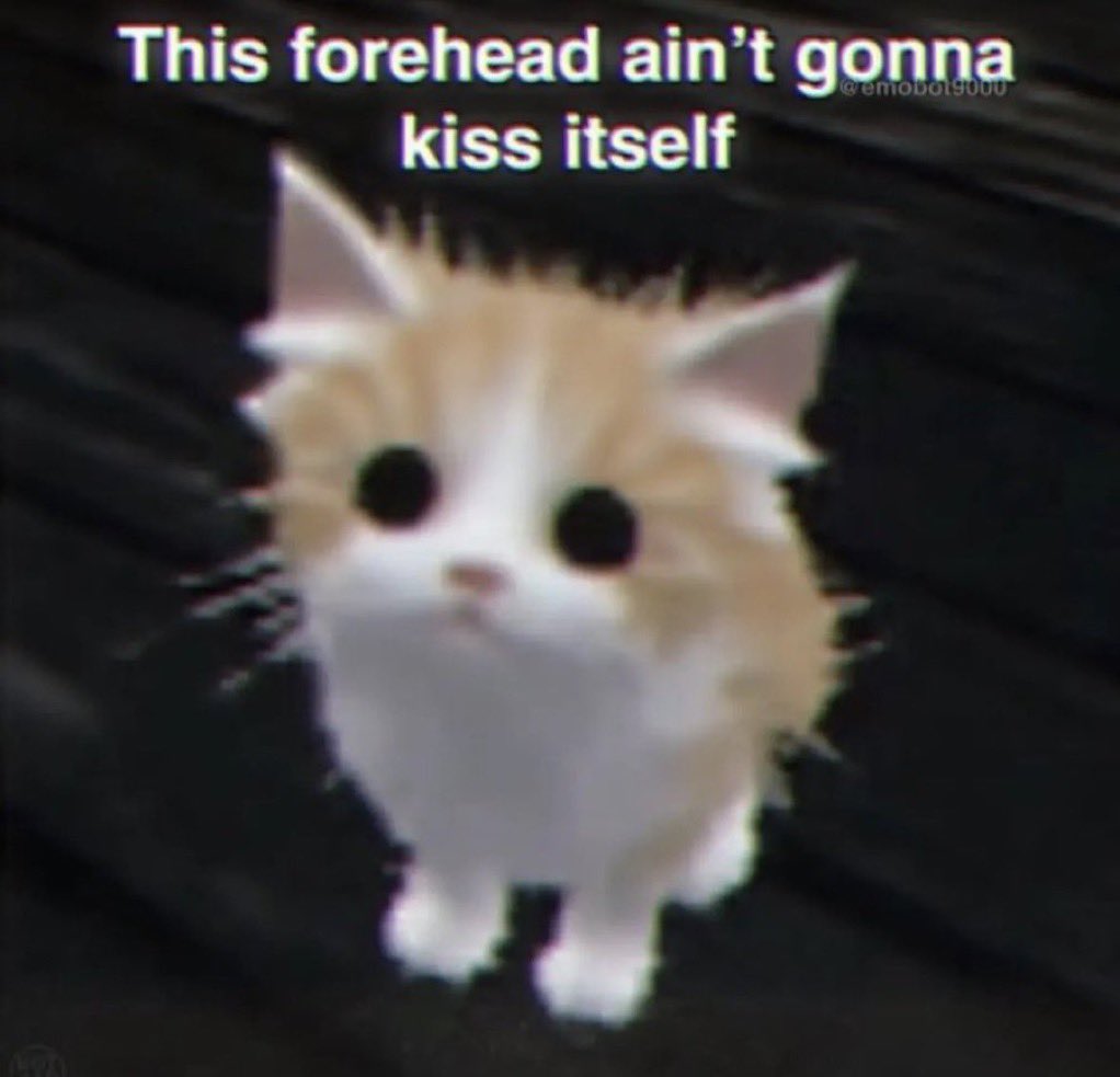 Me & Who? tweet media