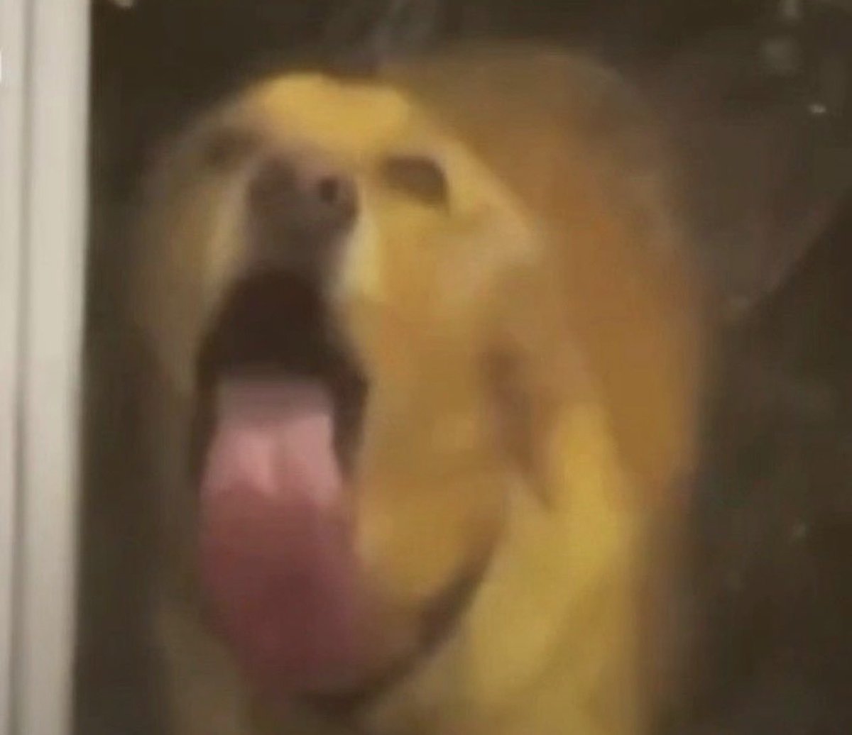 ⎯ 𝑩͟͟͟𝑼͟͟͟𝑼͟͟͟ .ᐟ tweet media