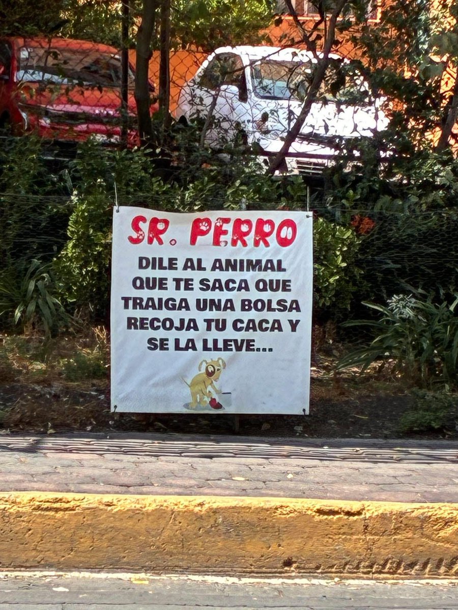 Rincón Curioso tweet media