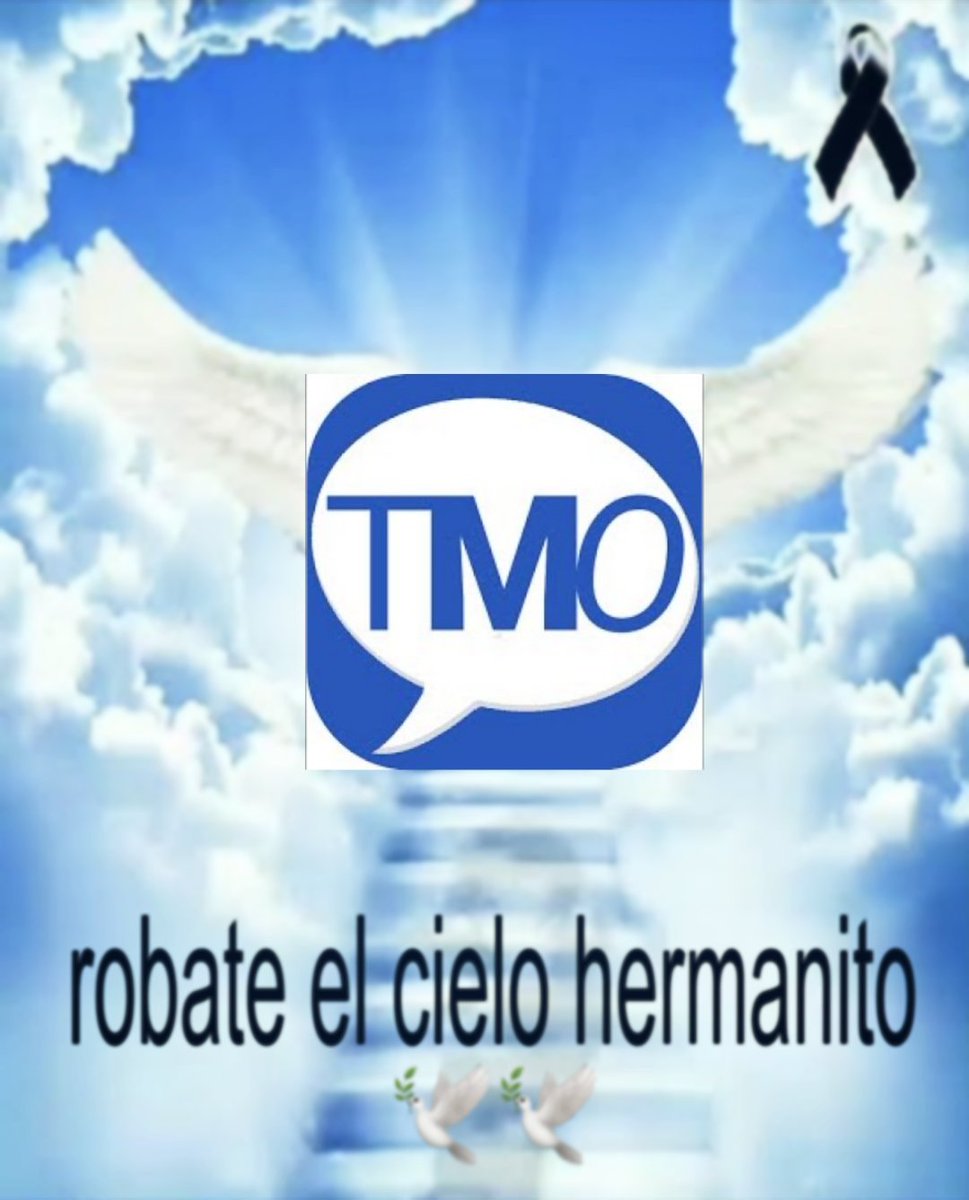 Lucy/香澄✨ tweet media