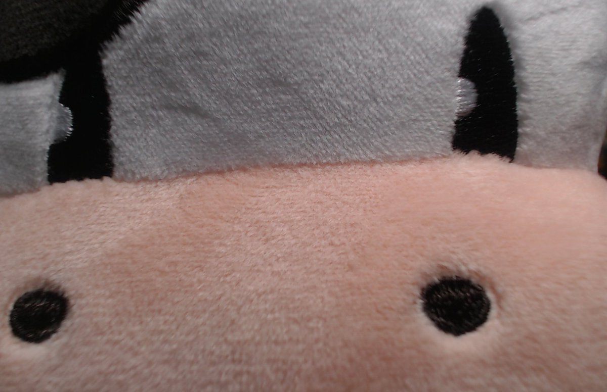 Laempchen ⛩️🦊 tweet media