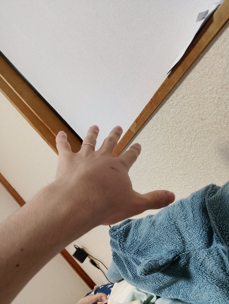 らぎの tweet media