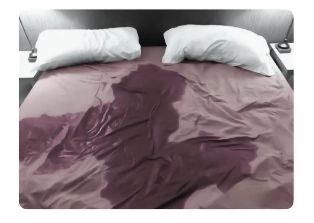 _Kangchi_😎 tweet media