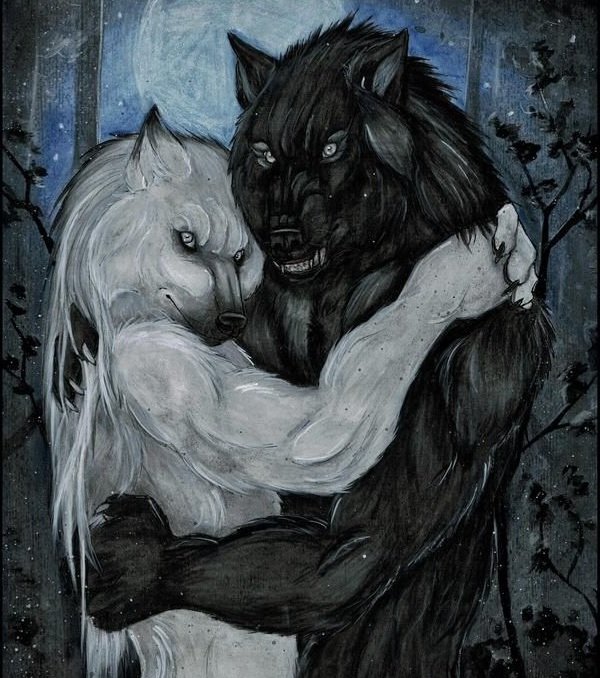 jéss 🦖 tweet media