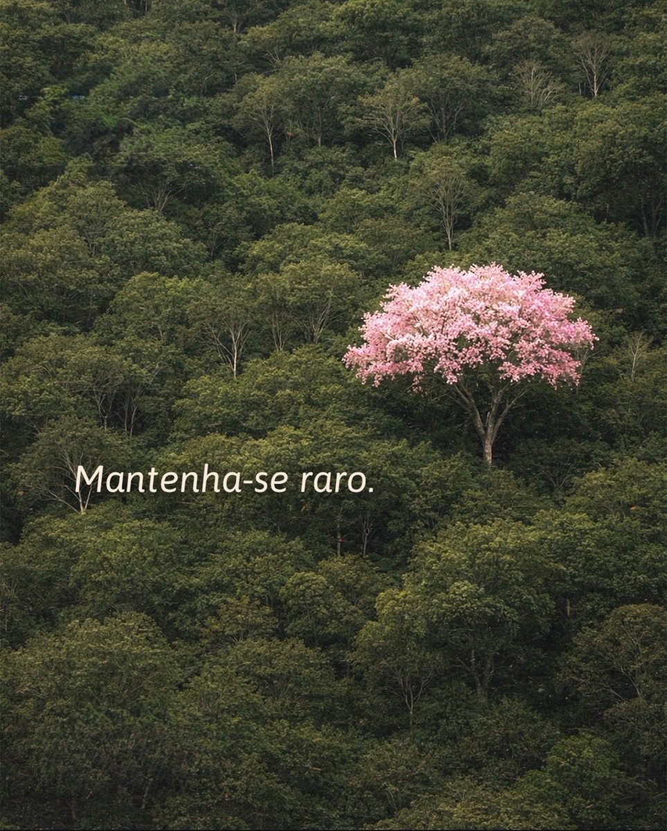 Frases (@umfilosofocitou) on Twitter photo 