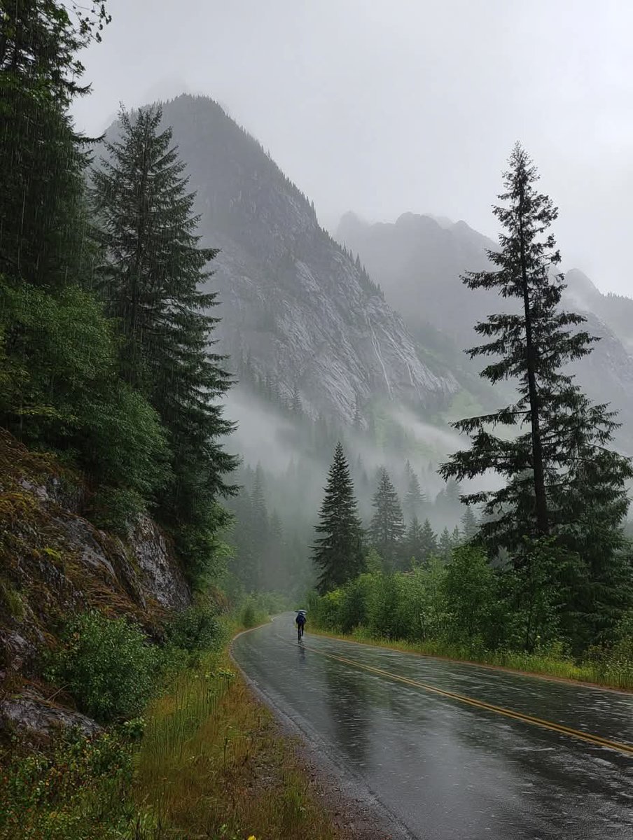 NatureMuse_'s tweet photo. Rainy drive in Oregon 🌲 https://t.co/wv4JA8g5bf