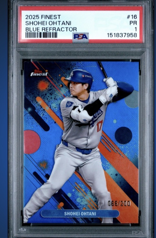 Boston Card Hunter tweet media