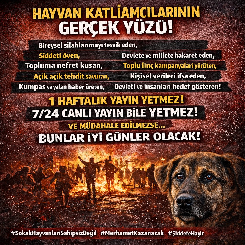 Cemal Alp Solak tweet media