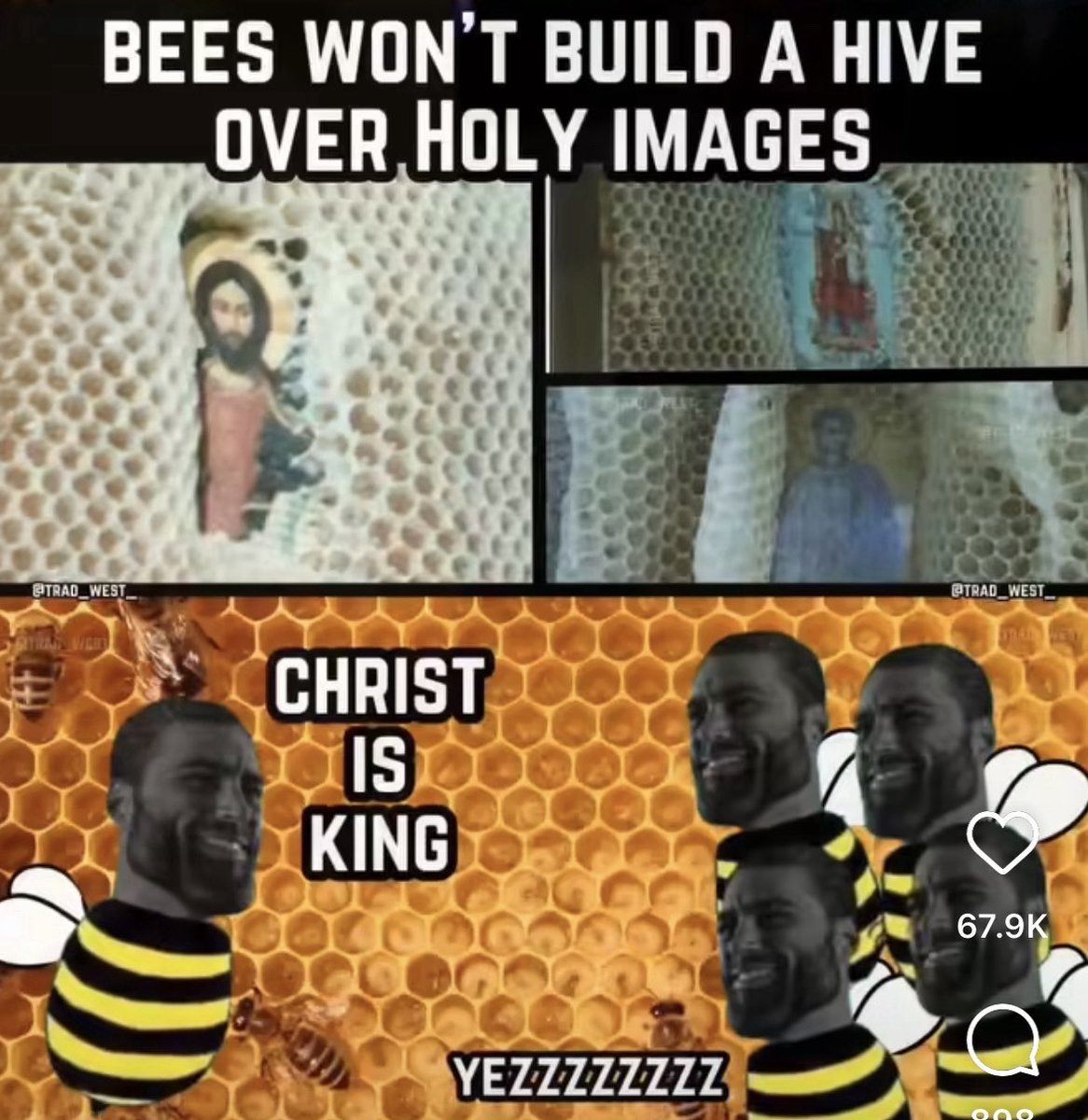 Andrey Salcido tweet media