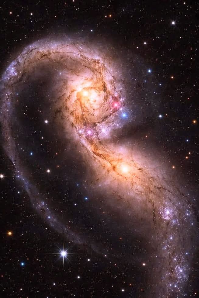 Black Hole tweet media