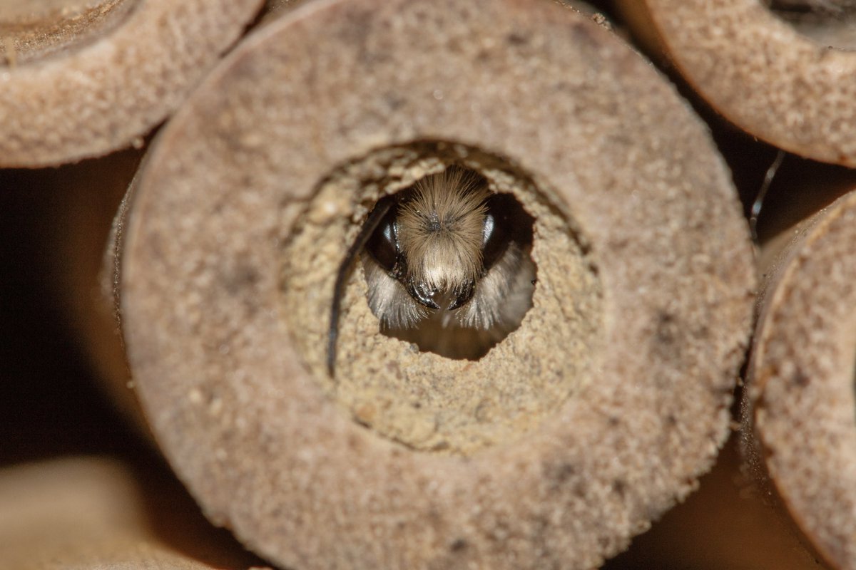 Dr Juliet Turner tweet media