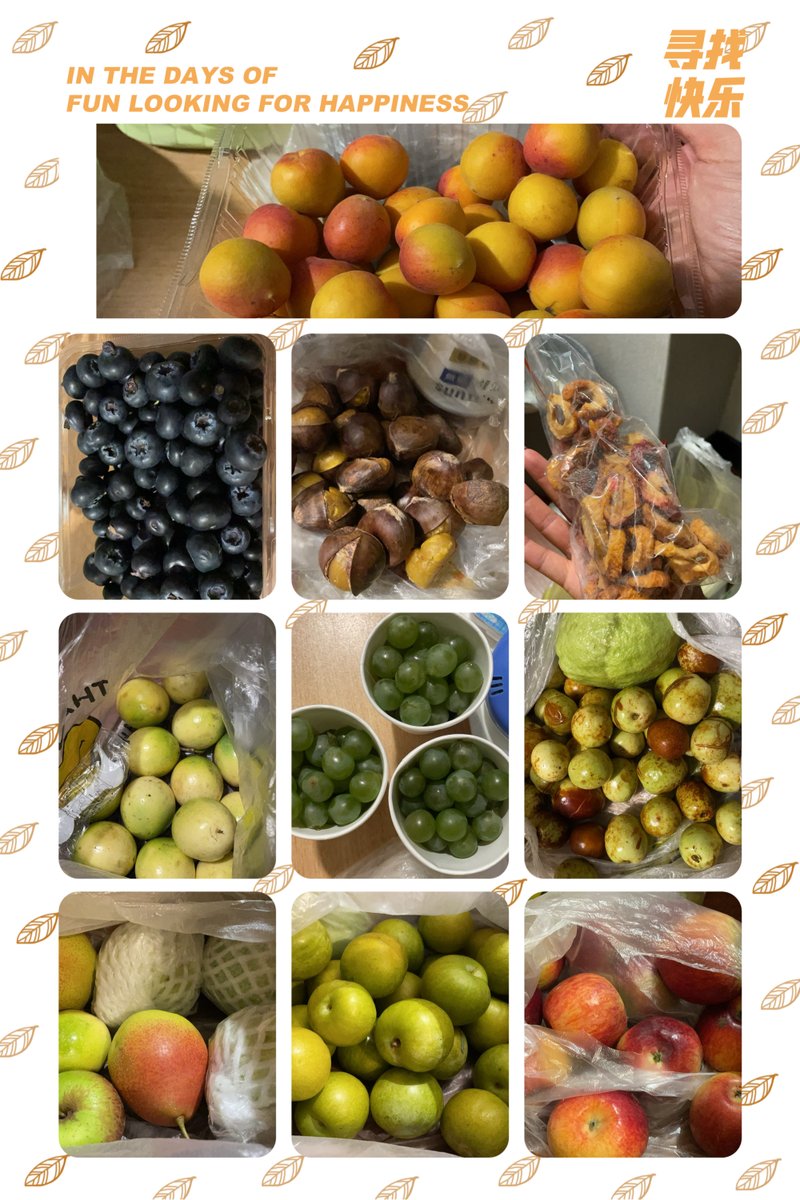 Alexandr Ivanov tweet media