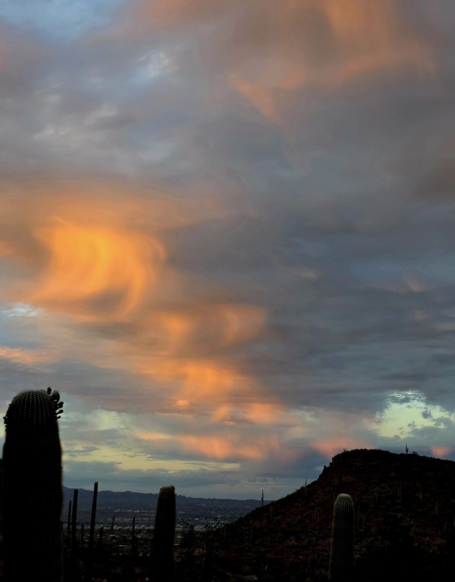 WhatYoSaid tweet media