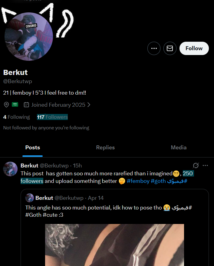 Cyber Chaton tweet media