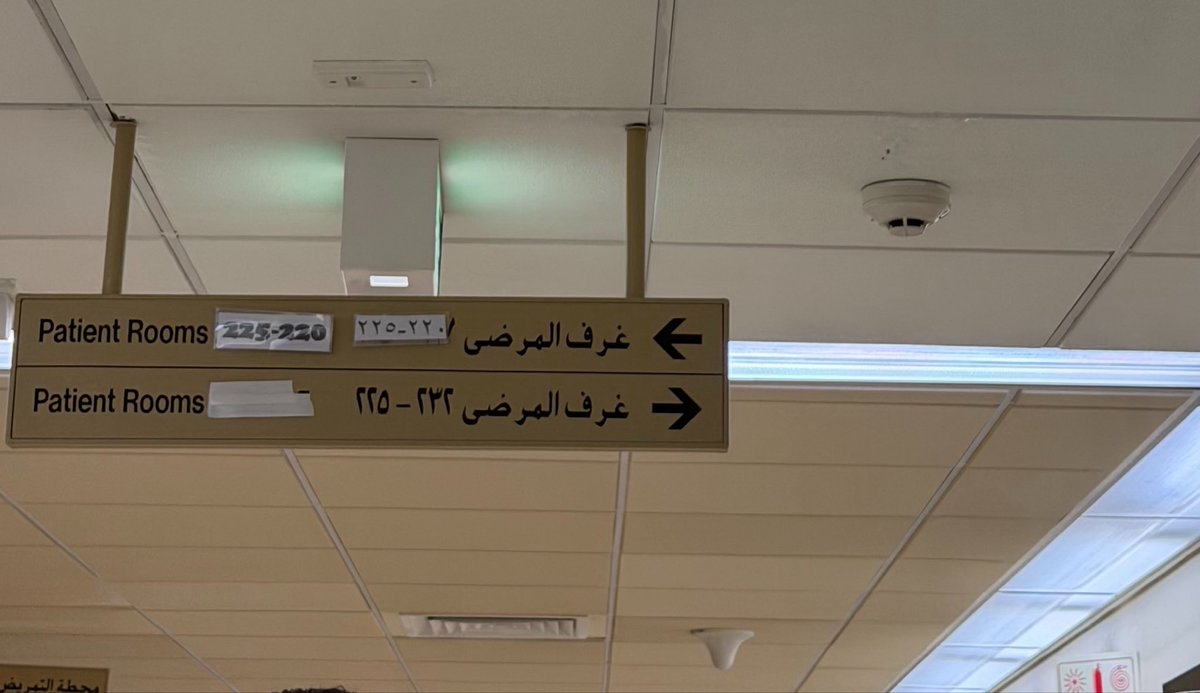 فرانكي | NG tweet media