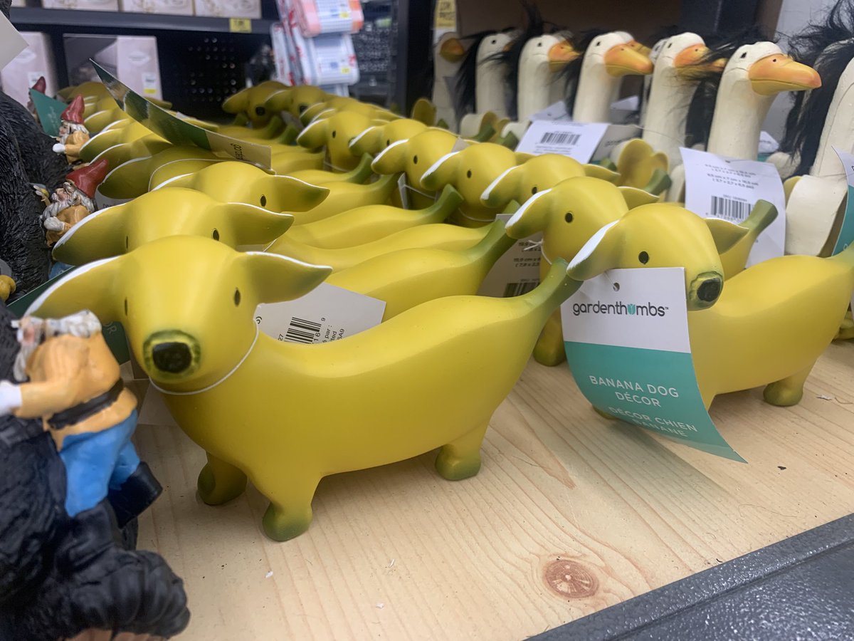 Ed🍌🔨 tweet media