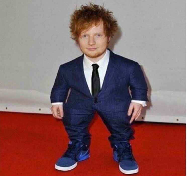 ⸝⸝ ꒰ ᗩᐯᖇO🫐 ⁞ ˎˊ (𝗋α𝗂nᑲⱺωᑯα𝗌ɦ ⱺ𝖿 𝗌ɦ𝖾ᑯ𝗍ω𝗍!) tweet media