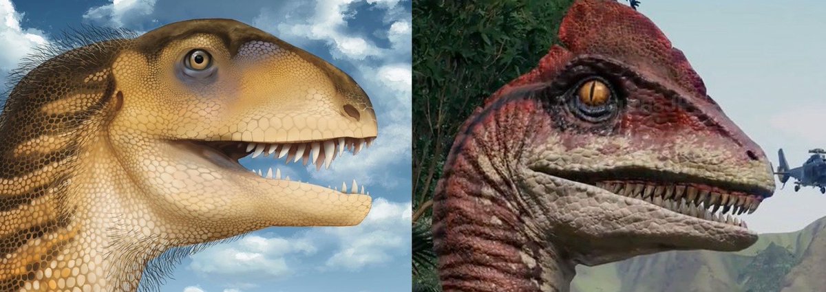 🌸Alice Goodman🌸 is Plurbin tweet media