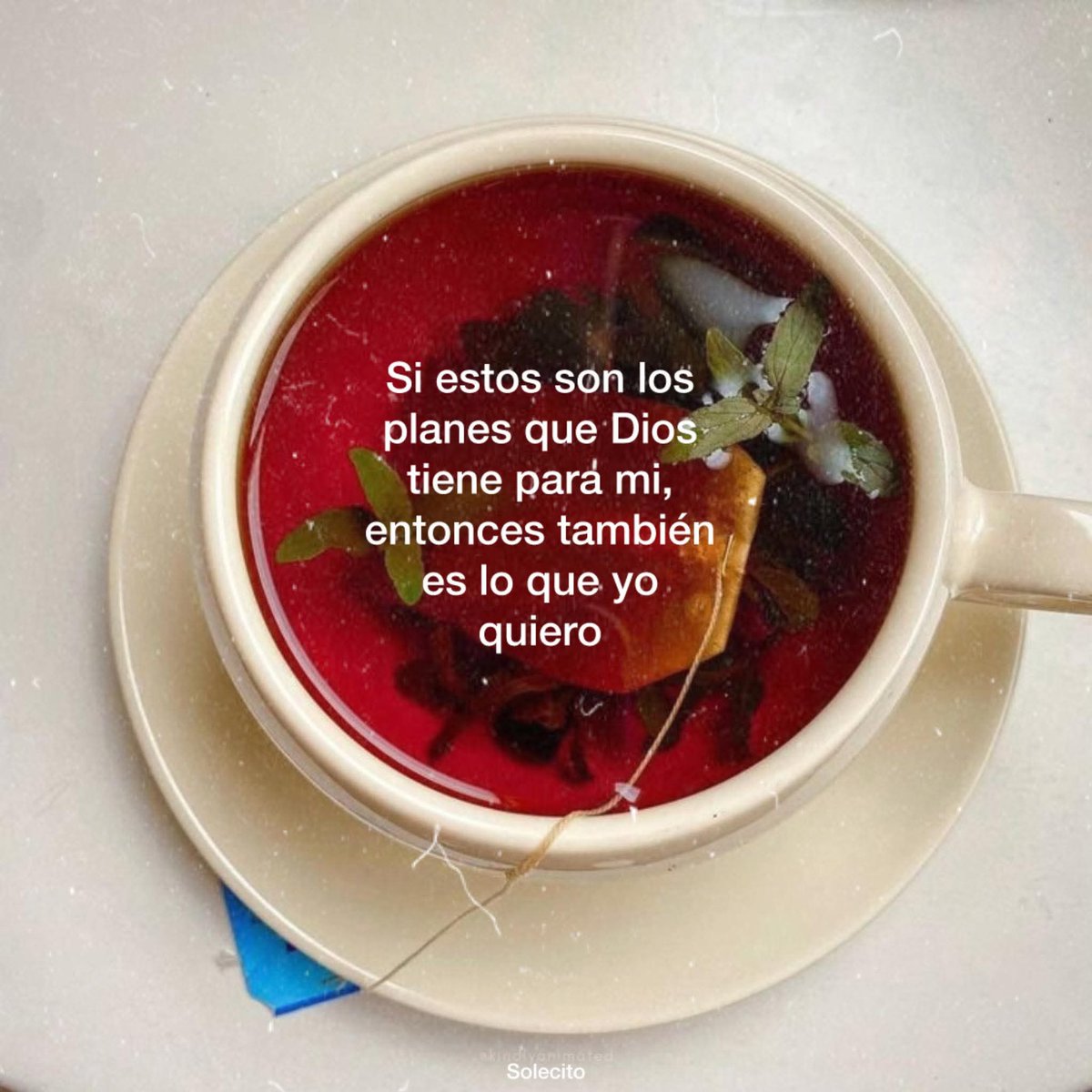 ojoscol0rsol's tweet photo. https://t.co/6biFHRS87U