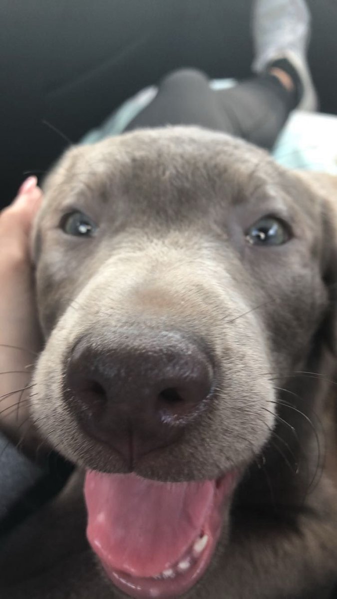 ˚⋆｡° ronny °｡⋆˚ tweet media