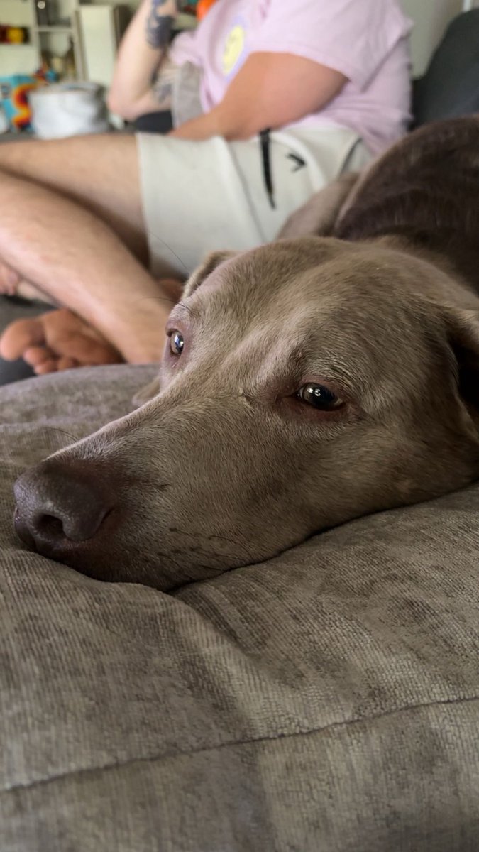 ˚⋆｡° ronny °｡⋆˚ tweet media