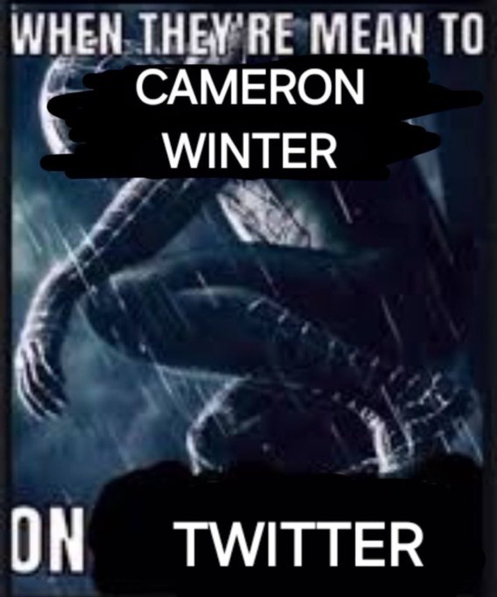 Acervo Cameron Winter tweet media