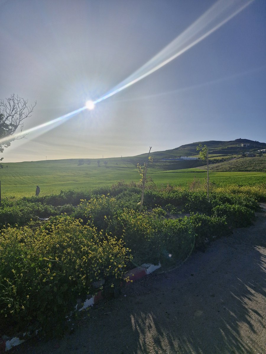 محمد tweet media