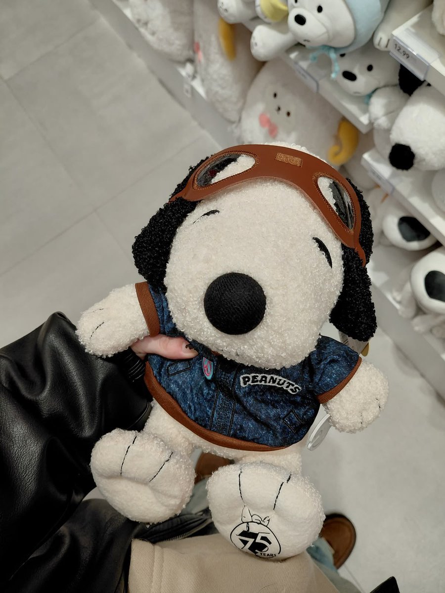 Daily Snoopy tweet media