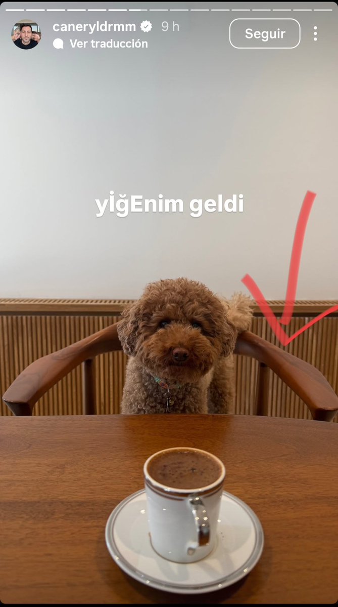 Marta López tweet media