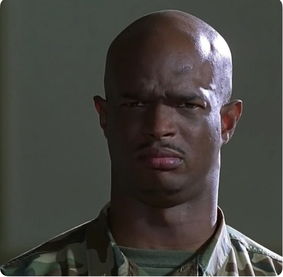 The Distro. ➐ tweet media